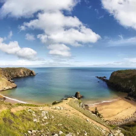 Mobil-home Avec Terrasse A - Api-1-52-917 *